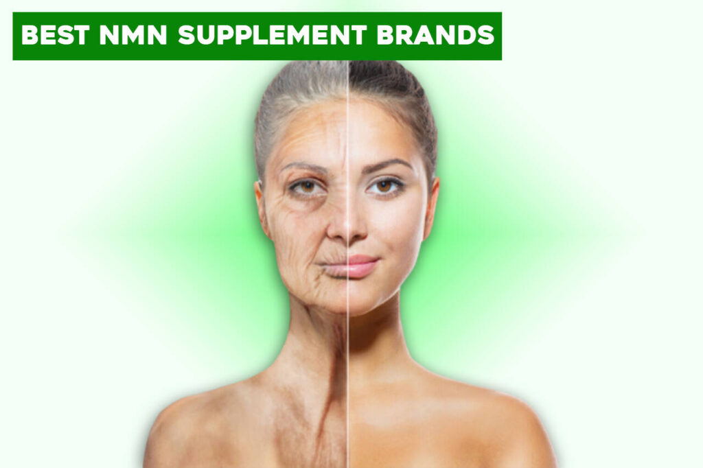 web M HOM Best NMN Supplement Brands Teaser